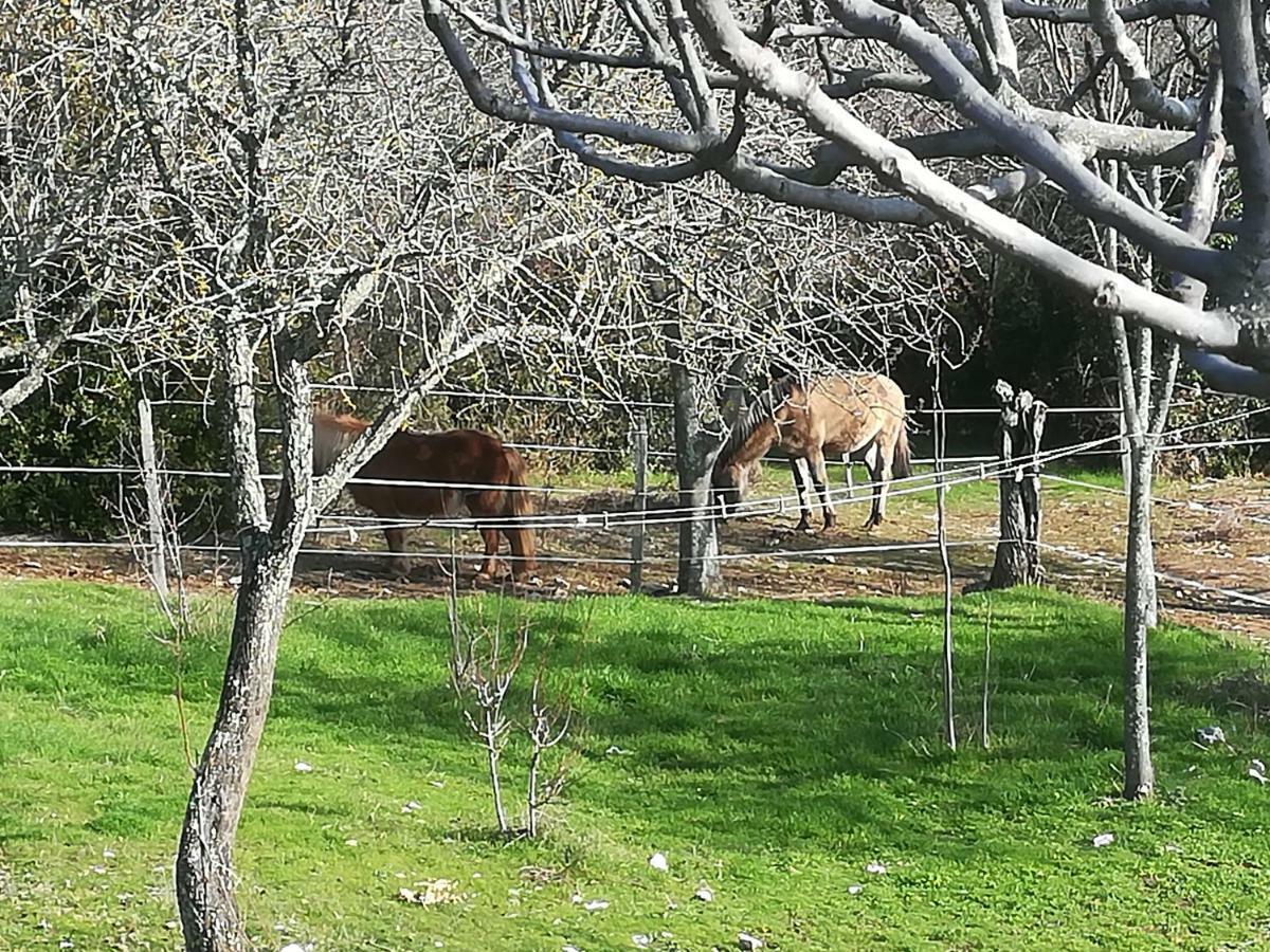 Studio Gard Calme Et Nature Russan Exterior foto