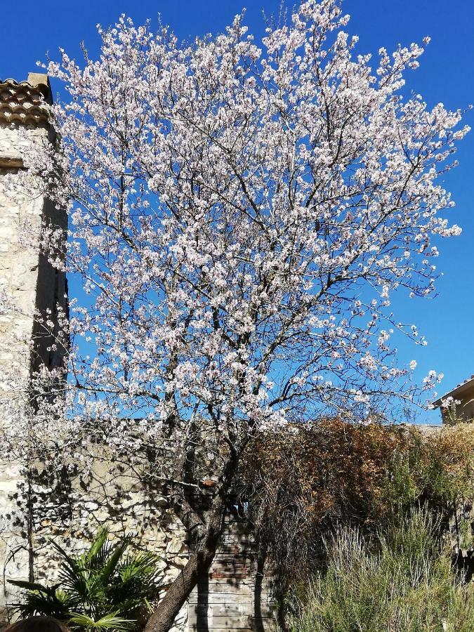 Studio Gard Calme Et Nature Russan Exterior foto