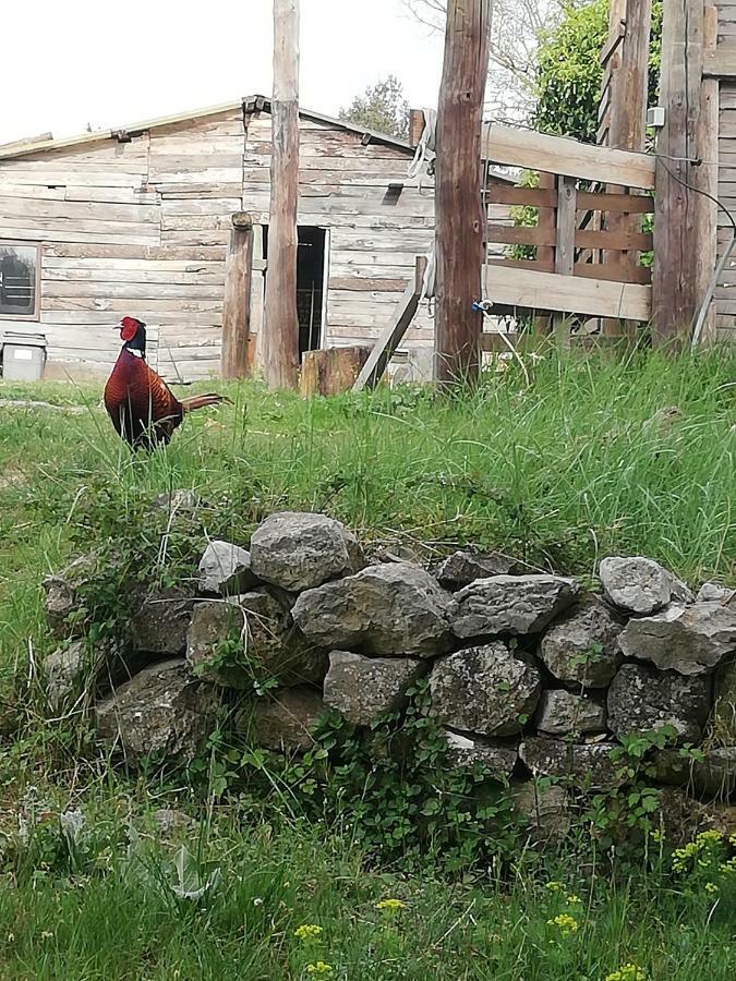 Studio Gard Calme Et Nature Russan Exterior foto